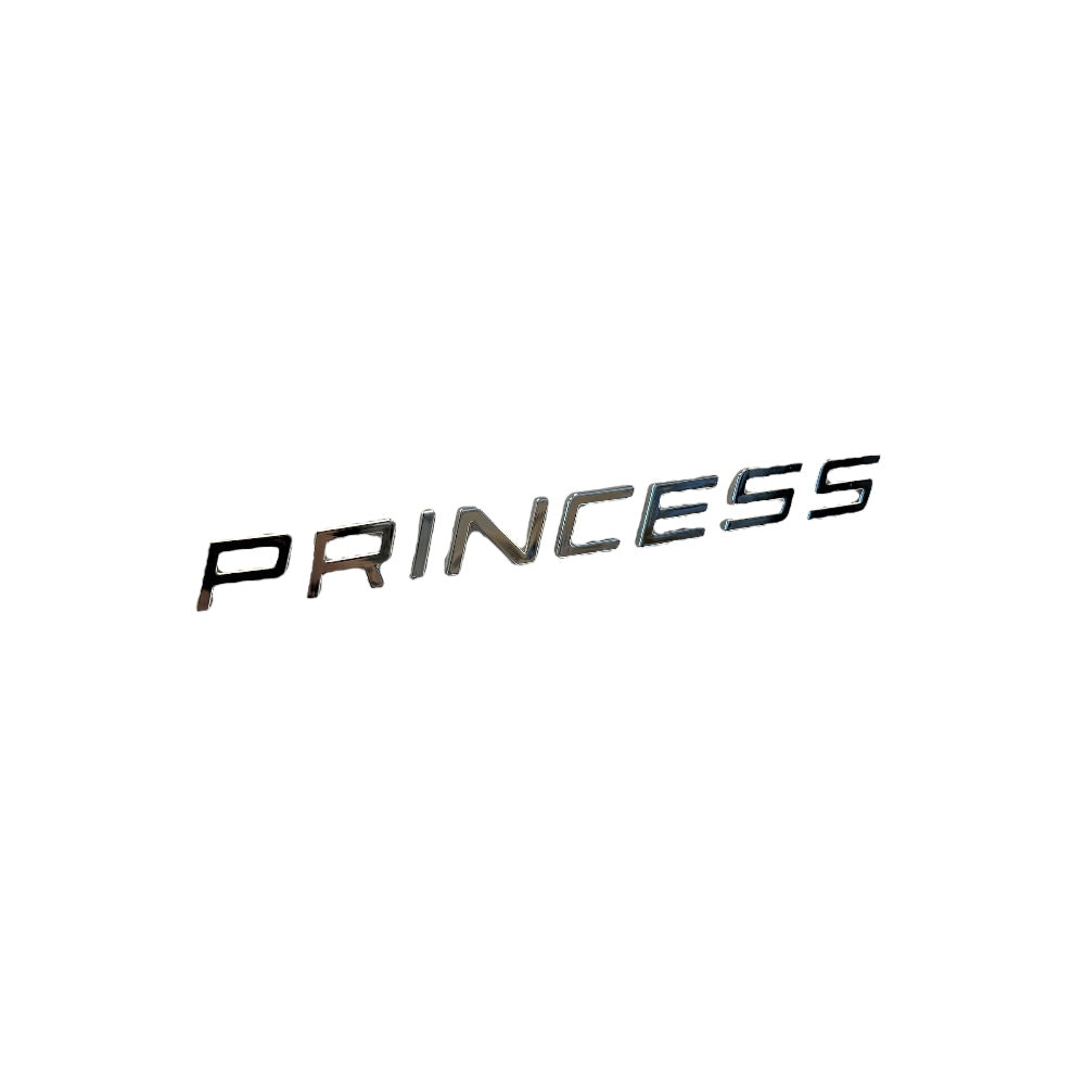 PRINCESS LETTERING LOGO
