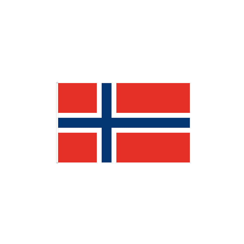 FLAG NORWAY 90CM
